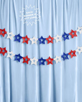 Star Spangled Banner - set of 2 paper banners, USA, 4th of July