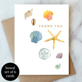Shells Thank You Greeting Card - Box Set of 6