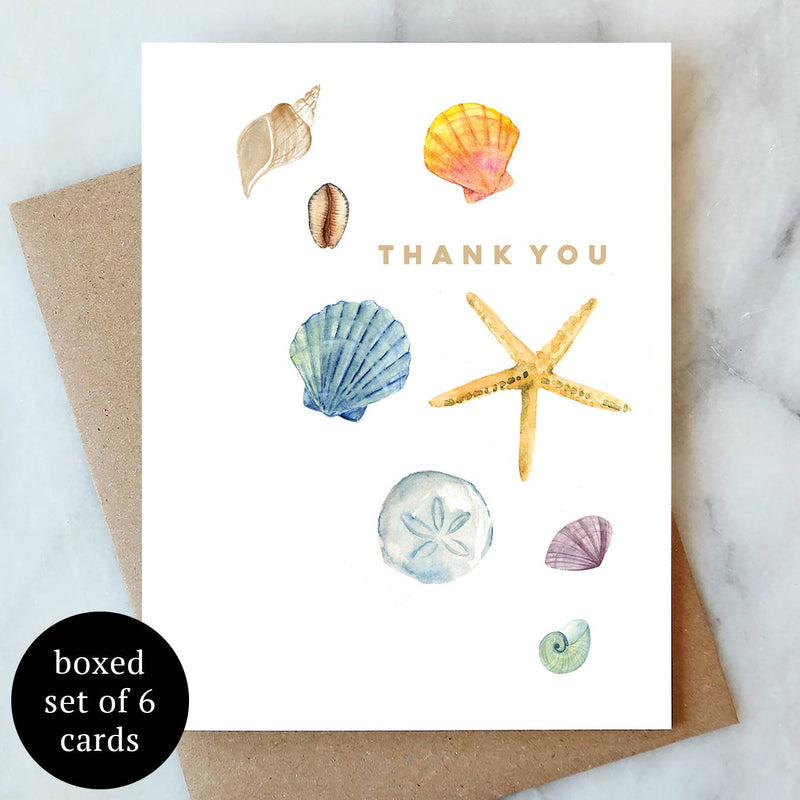 Shells Thank You Greeting Card - Box Set of 6