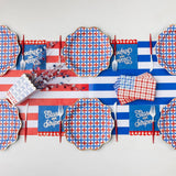 RED & BLUE GINGHAM STAR DINNER PLATES
