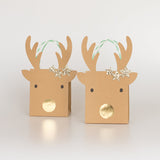 Small Reindeer With Stars Gift Bags (x 2)